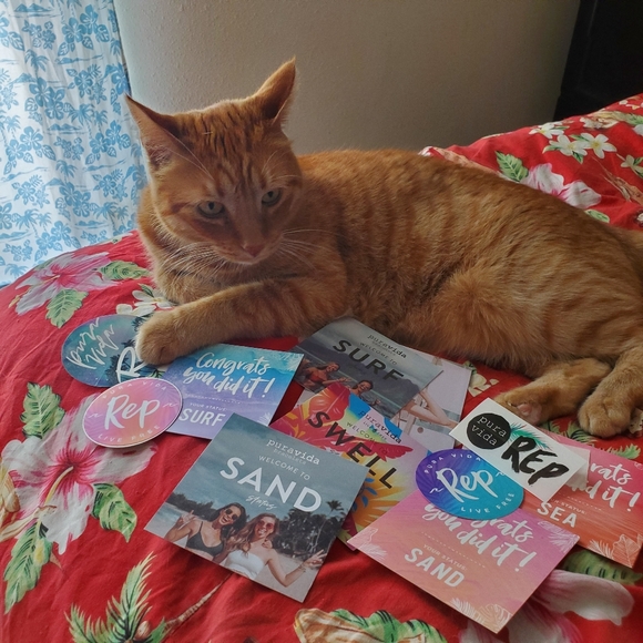 Meet your Posher, Christina - Picture 8 of 16